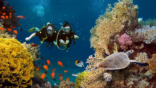 Discovering the Silent World: My First Scuba Diving Experience in Kefalonia
