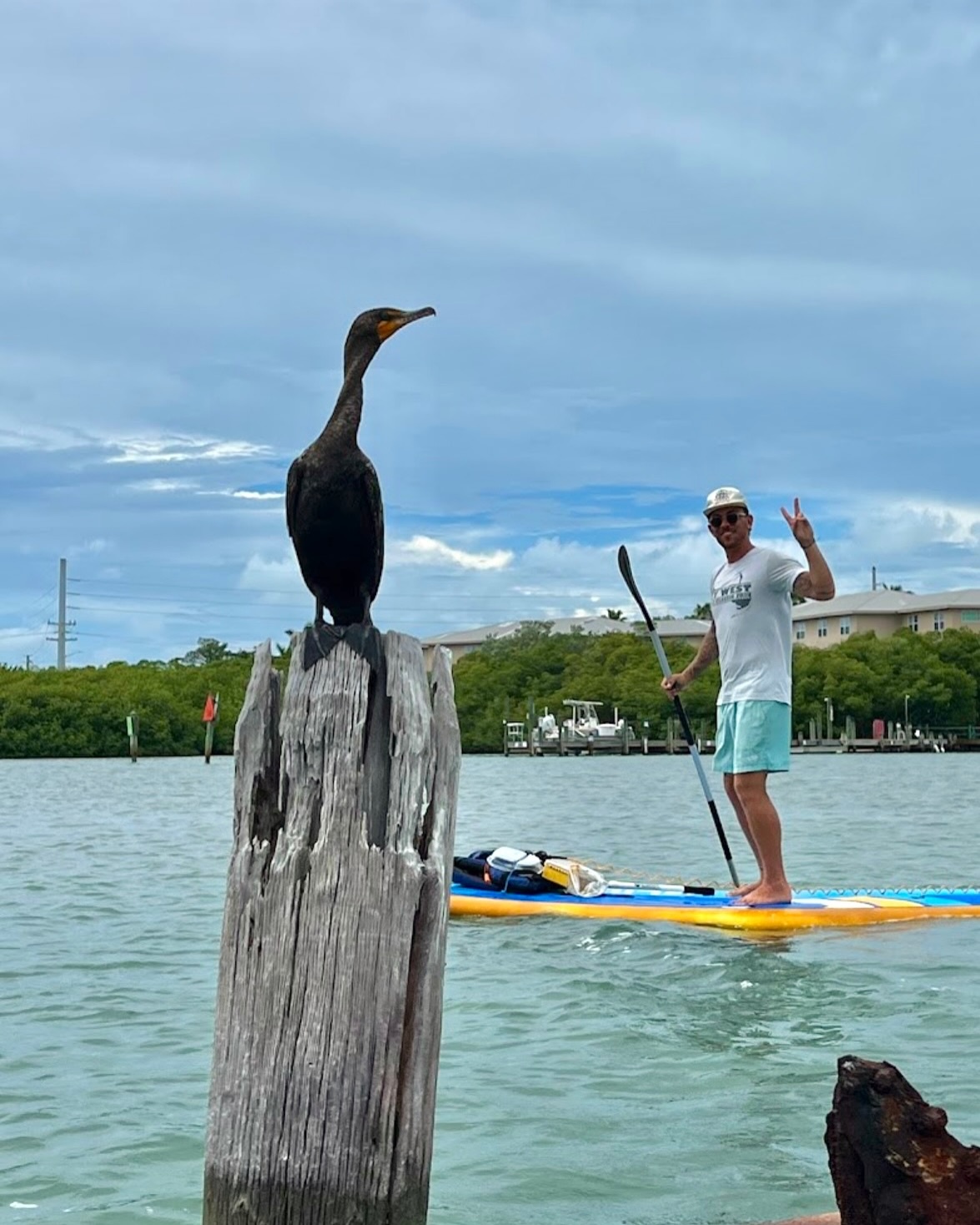 Florida Keys Kayak & SUP Tours: Kayaking, Paddleboarding & Snorkeling Adventures