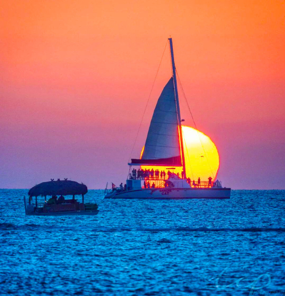Florida Keys Boat Tours: Dolphins, Sunset Cruises, Snorkeling & Wildlife
