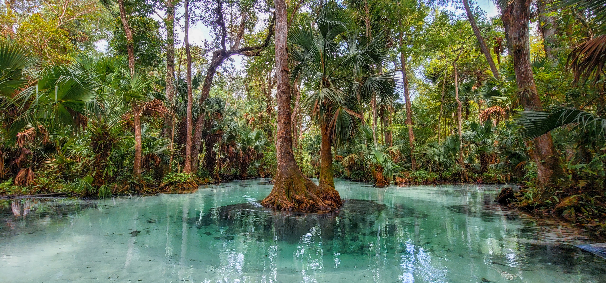 Apopka, Florida: A Hidden Kayaking Paradise with Crystal-Clear Water and Transparent Kayaks