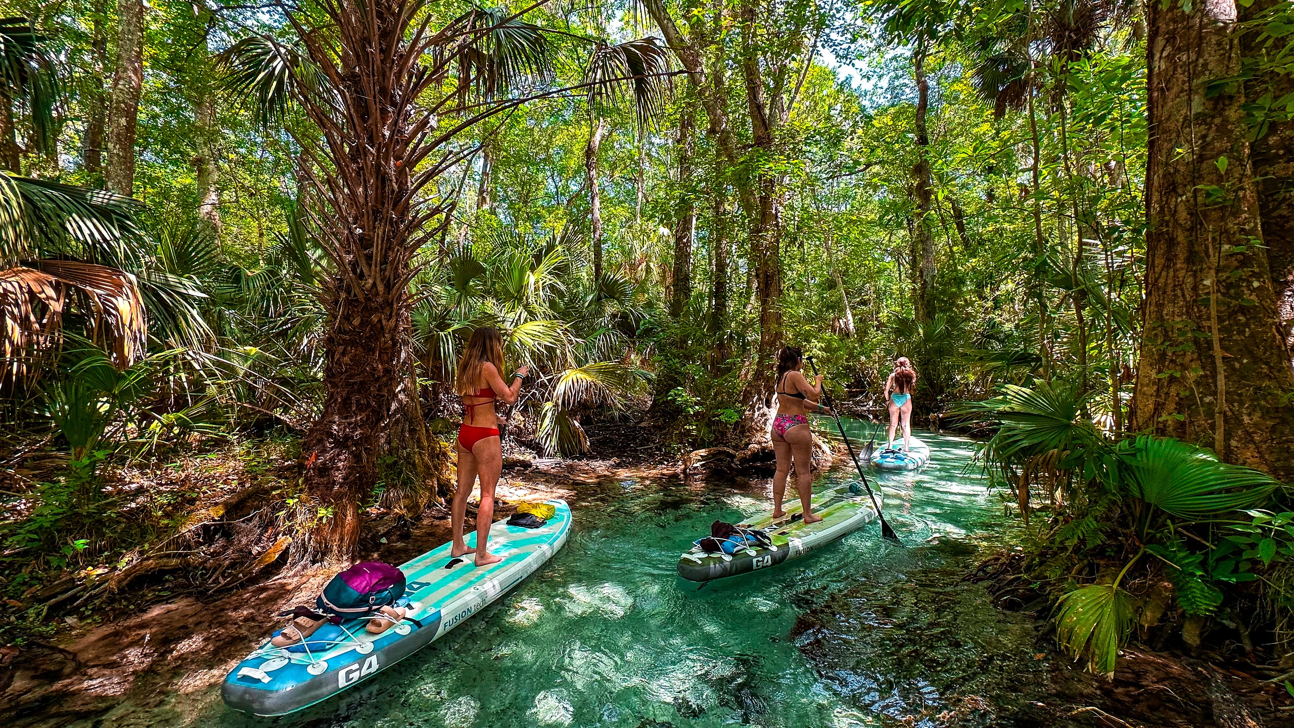 Dunnellon, Florida: Crystal-Clear Kayak Tours, SUP Adventures & Pontoon Boat Rentals