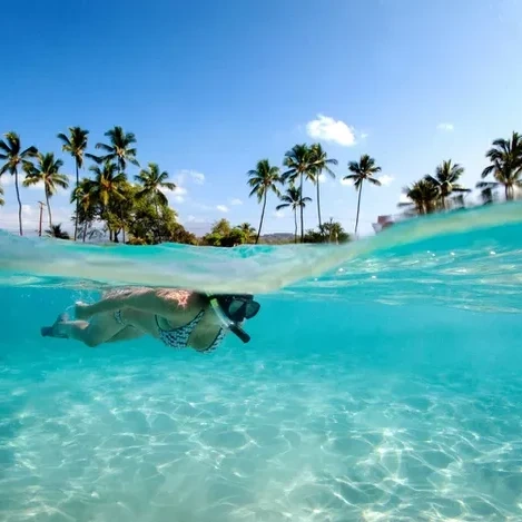Englewood & Venice, Florida: Scuba Diving, Shark Tooth Adventures, Snorkeling & Private Boat Tours