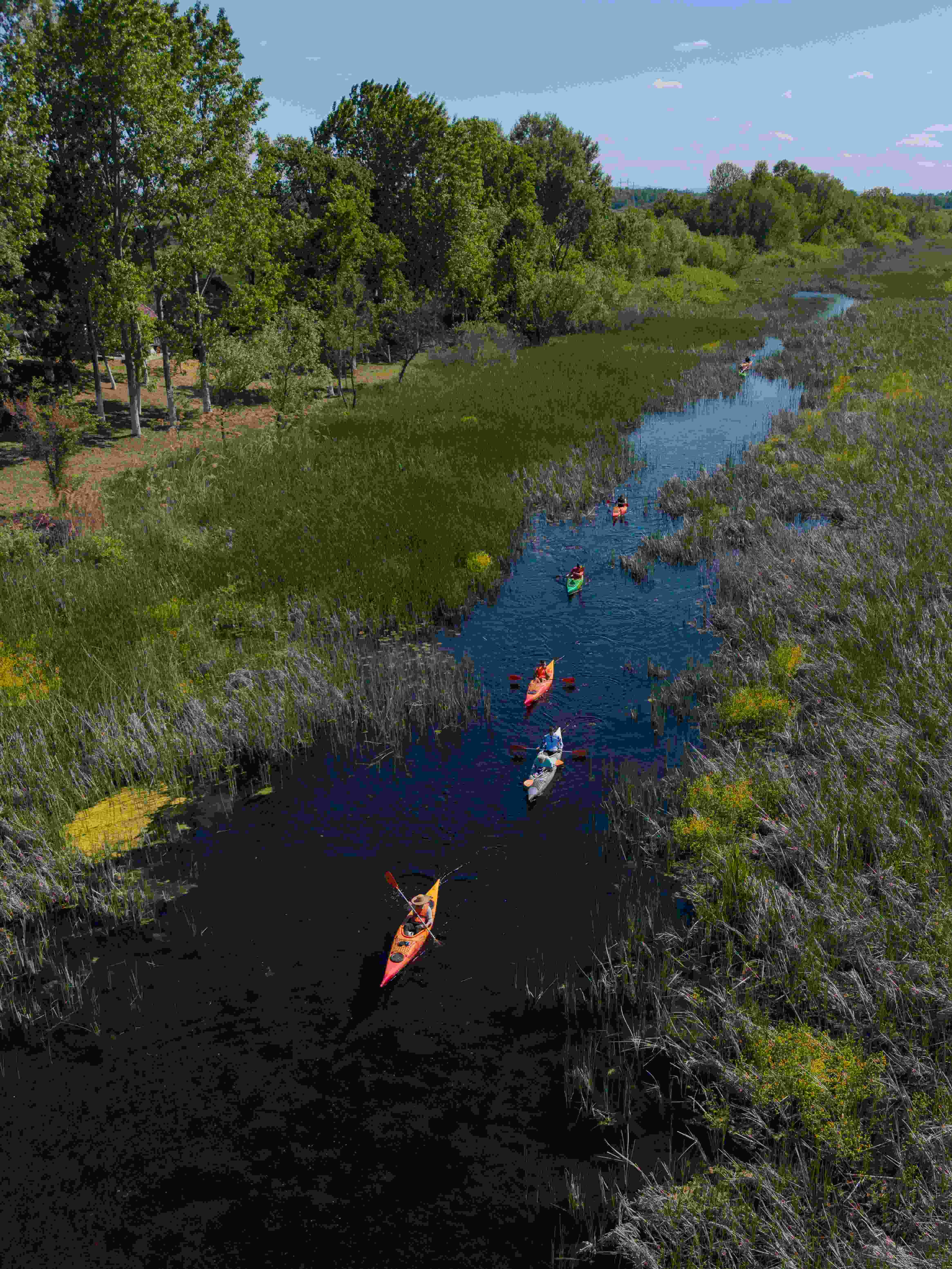 Zasavica Kayak Adventure | Explore Serbia's Hidden Nature Reserve